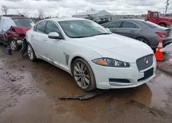 SAJXJ0FF9F8U55206: 44512178