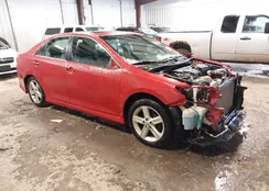 4T1BF1FK8CU506111: 44512670