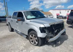 1FTFW1CFXDFA65505: 44512953