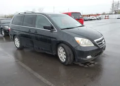 5FNRL38846B115446: 44513653