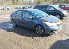 KNAFX4A89E5203378: 44514939