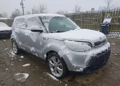 KNDJP3A50F7815360: 44515043