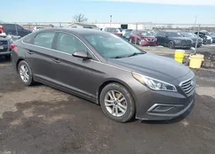 5NPE24AF2HH559140: 44515149