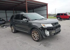 1FM5K7FHXHGD79321: 44515225