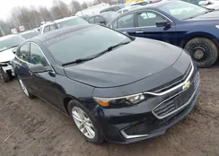 1G1ZB5ST9HF121116: 44514464