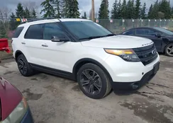 1FM5K8GT7DGB49206: 44515334