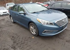 5NPE24AFXFH210904: 44516782