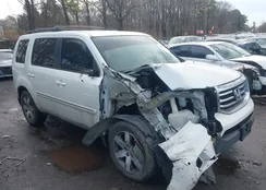 5FNYF4H91FB004256: 44516832