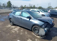 2T1BURHE0EC019954: 44516839