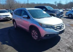 2HKRM4H7XDH656297: 44516565