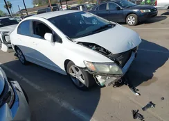 19XFA1F63AE013391: 44517526