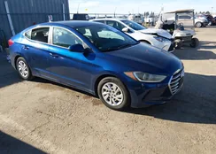 5NPD74LF2HH081019: 44517543