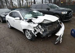 1N4AA5AP7CC862795: 44517556