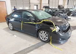 2T1BU4EE0AC515824: 44518889