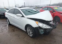 5NPEC4AB6DH564006: 44518938