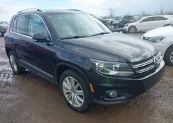 WVGAV7AX3FW56264: 44519062