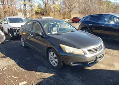 1HGCP36829A029256: 44519082