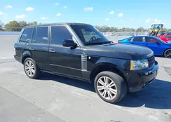 SALMF1D41BA343439: 44519121