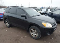 JTMBF4DV3AD024565: 44519124