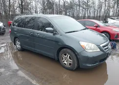 5FNRL38625B406606: 44518527