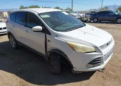 1FMCU0GX1DUD57346: 44518549