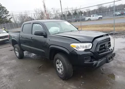 3TMCZ5ANXLM299945: 44519674