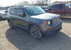 ZACCJABB4HPE71430: 44519751