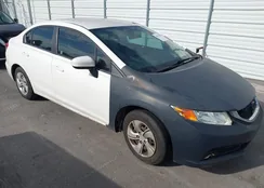 19XFB2F51EE039021: 44519399