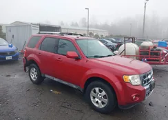 1FMCU0EG1AKB35187: 44519404