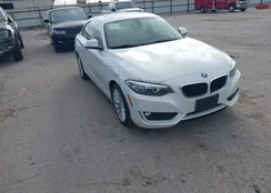 WBA1F5C58EV246051: 44519486