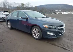 1G1ZD5ST8KF220981: 44520664