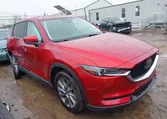 JM3KFBDM7L0822984: 44520696