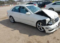 WDBRF40J65F561814: 44520791