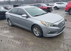 5NPE24AF5HH486863: 44520335