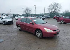 1HGCM66554A010855: 44521954