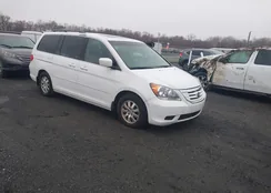 5FNRL38748B409973: 44522019