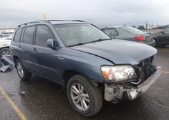 JTEEW21A170044117: 44523196