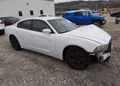 2C3CDXBG3DH636647: 44523816