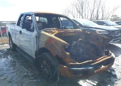 1FTPW14V17FA93157: 44524115