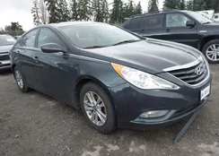 5NPEB4AC6DH783947: 44523561