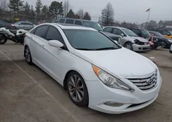 5NPEC4AB7DH774503: 44523625