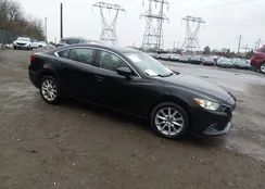 JM1GJ1U65F1163830: 44524653