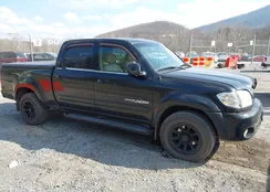 5TBDT48154S445343: 44524682