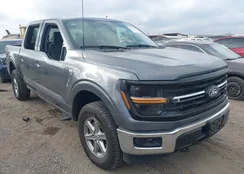 1FTEW3LP3SKE21409: 44524973