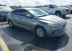 KMHD74LF3HU075019: 44525185