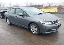 19XFB2F50DE223820: 44524334