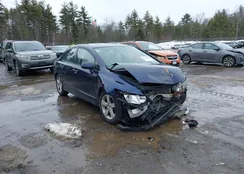 2HGFA1F58BH550126: 44524453