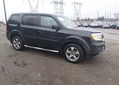 5FNYF4H56EB041492: 44525630