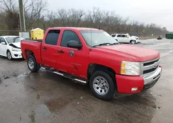 3GCPCSEA4BG149979: 44525645