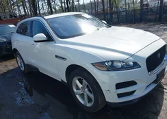 SADCJ2FX9KA366745: 44526124